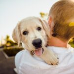 Os animais também podem ter alergia