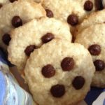 Cookies de coco – sem leite, glúten, ovo e soja