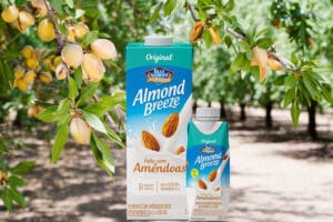 Almond Breeze com amêndoas